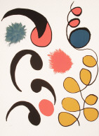 Formes de l'écriture (tirée de l'album «Alechinsky, Calder, Miro, Riopelle», 1976)
