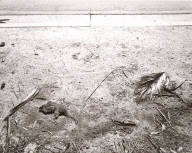 At the Curb of a City Street, Loma Linda, California