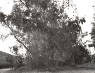 Near Interstate 10, East Edge of Redlands, California