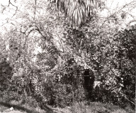 Redlands, California