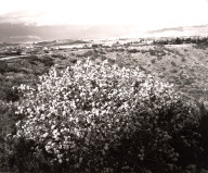 Redlands, California