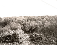 San Bernardino County, California