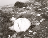 Santa Ana Wash, San Bernardino County, California