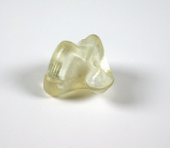 Embryologic House (stereolithography model)