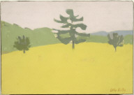 White Pine in Field