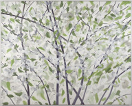Apple Blossoms