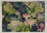 Stencilled Velvet