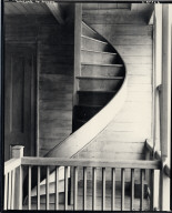 Bladwin Plantation