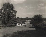 Avery Island Plantation