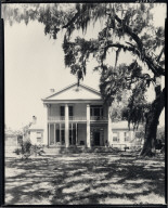 Capri Plantation