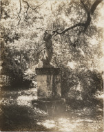 Rosedown Plantation