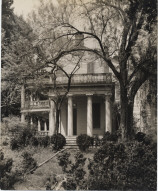 Rosedown Plantation