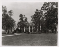 Oak Alley Plantation