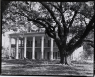 Oak Alley Plantation