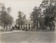 Oak Alley Plantation