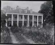 Oak Alley Plantation