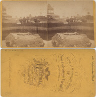Alligator island at Spanish Fort