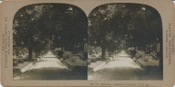 Driveway Chalmette Cemetery