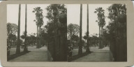 St. Charles Ave