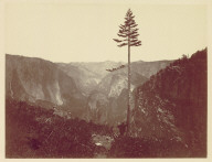 Yosemite Valley from Mariposa Trail