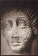 Head of a Young Man