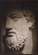 Head of a Bearded Man
