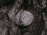 Offering, Oahu, Hawaii