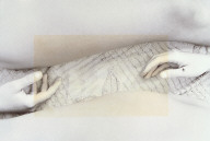 Hands and Legs with Fly
