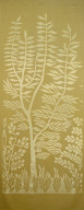 Tree of Leif