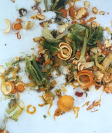 From "The Very Rich Hours of a Compost Pile"