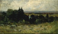 Untitled (landscape, fields with rocks and trees)