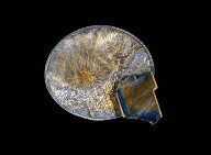 Brooch