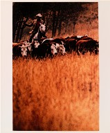 Cowboys and Girlfriends