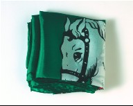 Grünes Seidentuch (Green Silk)