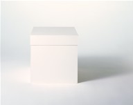 Weißer Pappkarton (White Cardboard Box)