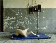 Après Bacon / Muybridge
