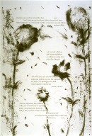 Eleventh plate in the portfolio Biotherm (for Bill Berkson) by Frank O'Hara (San Francisco: Arion Press, 1990)