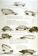 Thirty-fifth plate in the portfolio Biotherm (for Bill Berkson) by Frank O'Hara (San Francisco: Arion Press, 1990)