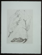Untitled, between pgs. 194 - 195, in the book Les Chants de maldoror by Comte de Lautréamont (Paris: Albert Skira, 1934).