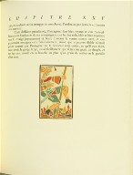 Untitled, pg. 141, in the book Pantagruel by François Rabelais (Paris: Albert Skira, 1943).