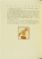 Untitled, pg. 164, in the book Pantagruel by François Rabelais (Paris: Albert Skira, 1943).