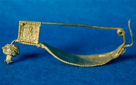 Fibula