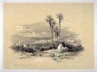 Jenin - The Holy Land