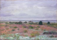 Near the Beach, Shinnecock