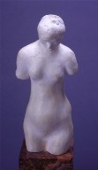 Female Torso