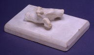 Composition of right foot (one of twenty - 1949.19.1-20)