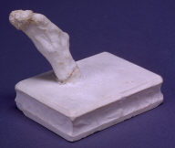Composition of right foot (one of twenty - 1949.19.1-20)