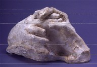 Hands Clasping