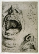 Studies of Nose and Mouth ( right half of plate)