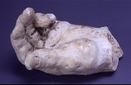 Study of a hand